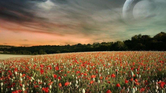 我是新手想养鱼，预算不超过200。有什么好的建议或者禁忌吗。？